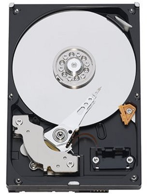 Western Digital Caviar WD10EACS - Disco Duro de 1 TB (SATA II)