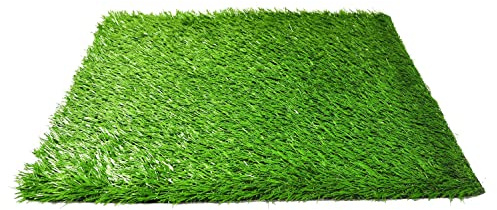 Downtown Pet Supply Replacement Dog Potty Grass, 20 x 25 - Washable Synthetic Grass Pad for Dogs, Suitable as Indoor or Outdoor Grass Pee Turf - Dog Housebreaking Supplies