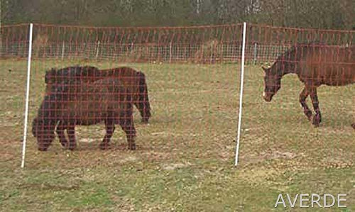 Pferdenetz, Weidezaunnetz, Mustang - Netz, 145 cm x 50 m