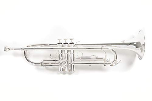 Roy Benson Bb-Trompete TR-202S (Langlebige Messingkonstruktion, mit leichtem Rechtecketui, Rucksackgarnitur, erstklassige Edelstahl Ventile, für professionelle Musiker), versilbert