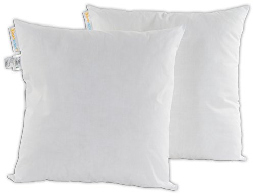 Kissenoutlet24 2er Set 20x20 cm Premium Kissenfüllung Füllkissen Dekokissen Sofakissen Cocktailkissen Kopfkissen Öko-Tex Standard 100 Made IN Germany