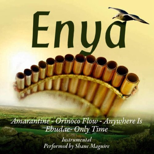 Panpipe Plays Enya (Panflöte / Panflute / Instrumental)