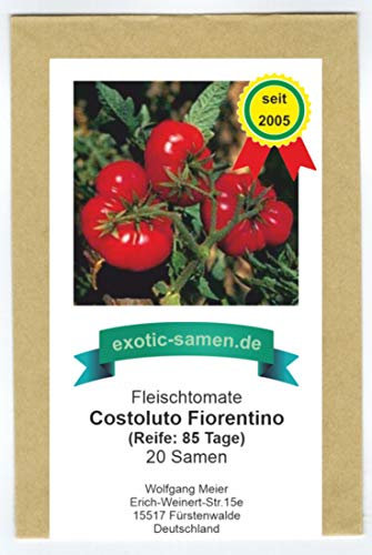 Costoluto Fiorentino - Alte, toscanische Sorte mit ausgewogenem Geschmack - Fleischtomate - 20 Samen