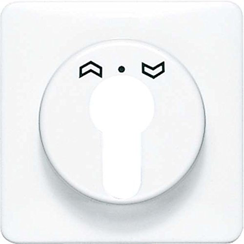 Jung 528 Abdeckung für Schluesselschalter