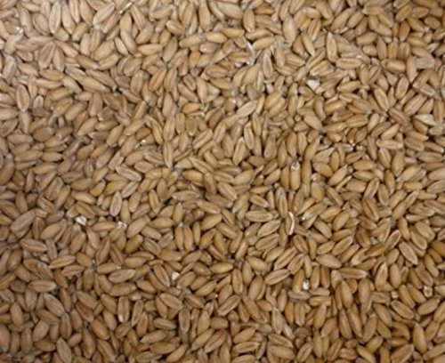 Kiloware Spelt grains, spelt, z. Refill v. Spelt pillow oder Heating pads - 1kg