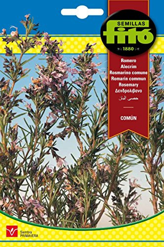 Semillas Fitó 2609 - Romero Común