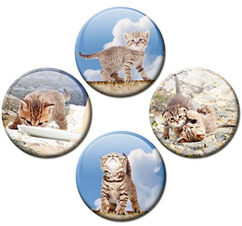 Kühlschrankmagnete Katzen Siesta 4er Geschenk Set Katzenmotiv Magnete lustig für Magnettafel Kinder stark groß Ø 50 mm