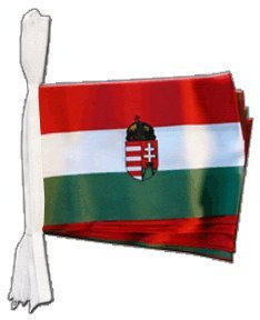 Flaggenfritze® Fahnenkette Ungarn mit Wappen, Länge 5,9 cm