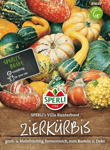 Zierkürbis SPERLING's Villa Kunterbunt