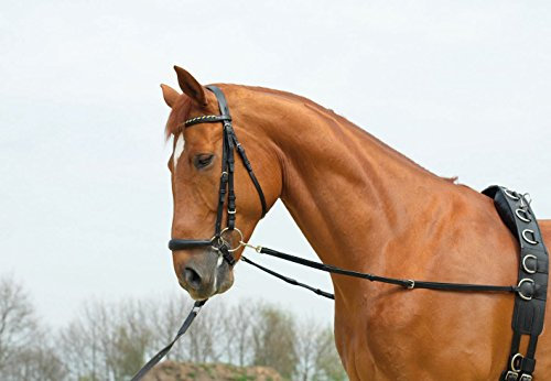 Ausbindezügel BASIC-ELASTIK
