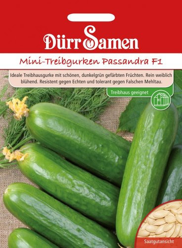 Dürr-Samen - Mini-Treibgurken Passandra F1 Saatgut