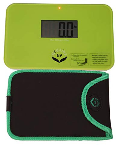 NewlineNY Kleinster Reise Personenwaage mit Schutzhülse (grün)