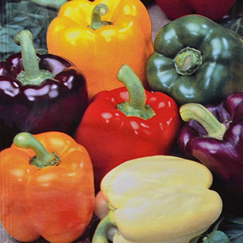 Poivron - Mélange de 5 couleurs - 1 sac de graine