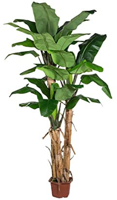 konstväxt-discount.com bananträd, konstpalmer med 30 blad och 3 stammar, höjd 280 cm med kruka – tropiska konstträd dekorativa träd