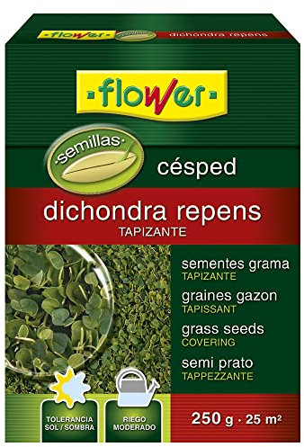 SEMILLA DICHONDRA REPENS