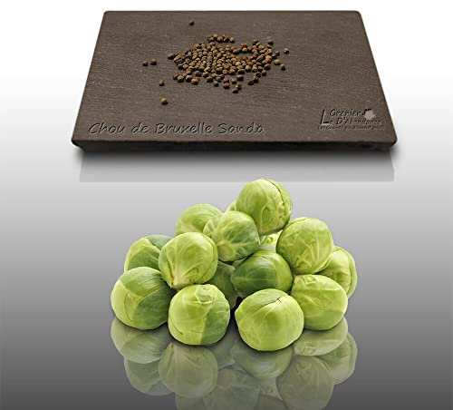 100 graines à semer - Le Grenier d'Abondance - CHOU de Bruxelles Sanda - Brassica oleracea