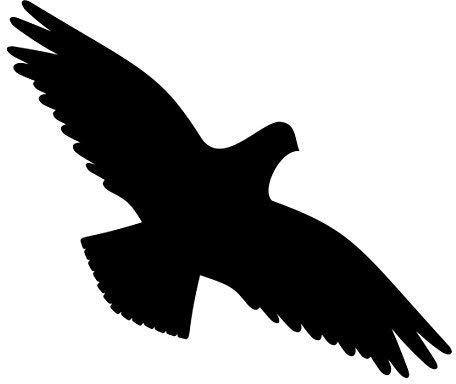 GreenIT 4 Stück Vogel schwarz jeweils 30cm Aufkleber Tattoo Warnvögel Fenster Schutz Deko Folie