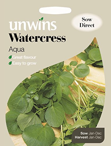 Unwins Pictorial Packet - Watercress Aqua - 1000 Seeds