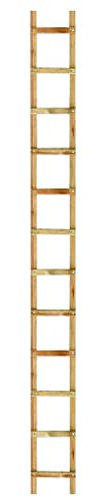 Outifrance 8833030 Echelle de toit en Bois 3,00 m/12 échelons entraxe 25 cm