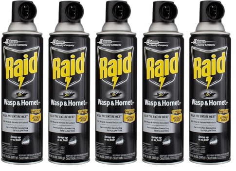 Raid Wasp & Hornet Killer Spray 14 oz (Pack of 5)