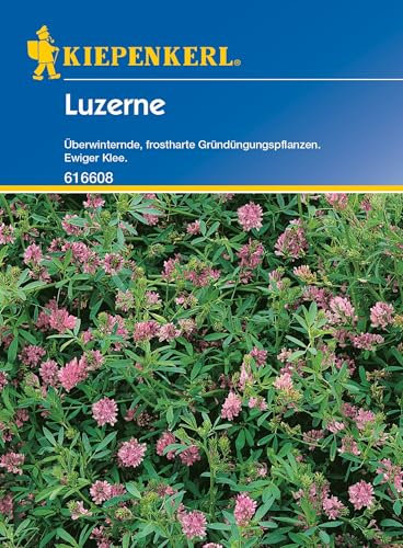 Kiepenkerl Gründünger, Luzerne, 50 g,616608 - Überwinternde, frostharte Gründüngungspflanzen - Ewiger Klee - Inhalt für 25 qm - Saatgut, Pflanzen