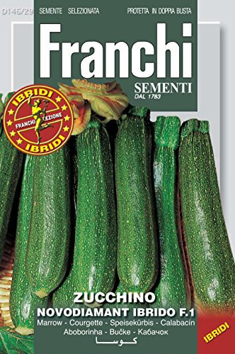 SEMENTI da ORTO di QUALITA' AD Uso HOBBYSTICO IBRIDE E SELEZIONI Speciali in Confezione PROTETTA in Doppia Busta (ZUCCHINO NOVODIAMANT)