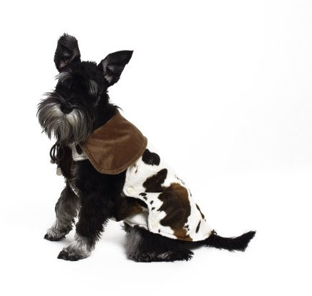 KARLIE Hundemantel CATTLE COAT für Hunde 34cm