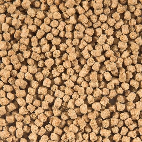 Velda sanikoi 124622 – Mangime Invernale FÃ ¼ R Stagno Pesci, affonda, 3 mm, Invernale whead Food, 3 L
