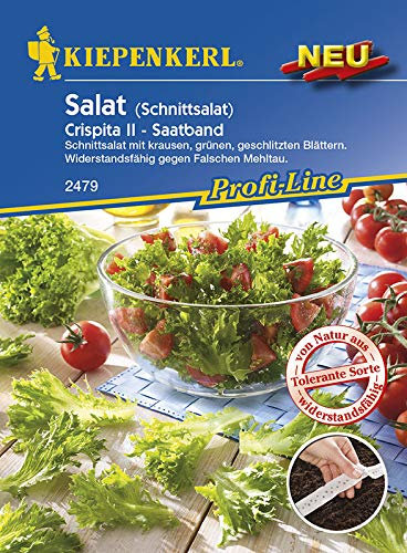 Salatsamen - Schnittsalat Crispita II Saatband von Kiepenkerl
