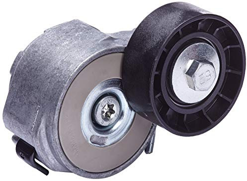 DAYCO APV1156 Tensor de Correa, Correa Poli V