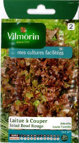 Vilmorin - Laitue à couper Salad Bowl Rouge