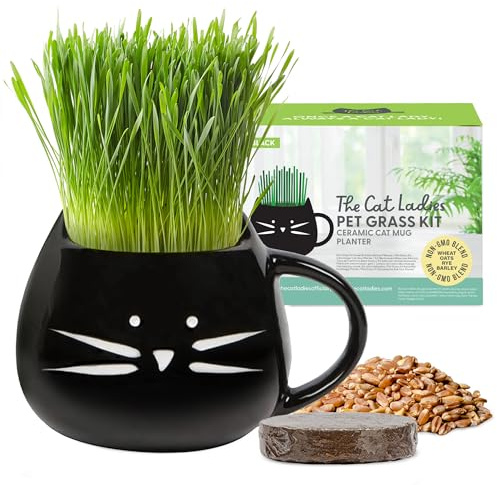 The Cat Ladies Erba per Gatti da Interno - Kit di Coltivazione - con Semi Terriccio e Fioriera a Forma di Tazza - Snack Naturale per Gatti - Aiuta la Digestione Contro Boli di Pelo