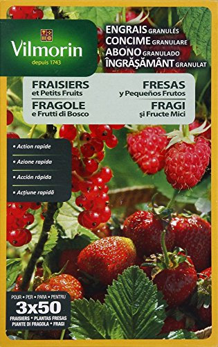 Vilmorin 6410799 - Abono granulado para fresas de acción rápida, 800g