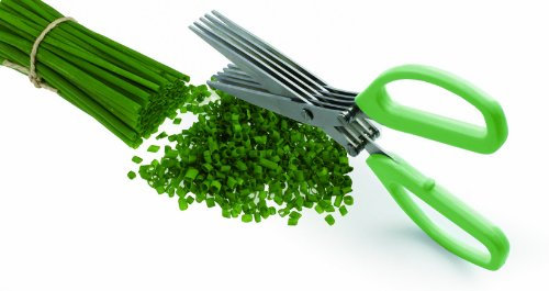 Ciseau professionnel à herbes, à 5 lames en acier inoxydable trempées et polies.