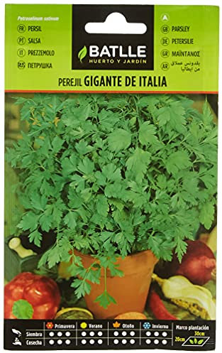 Batlle Aromatic Seeds - Giant Parsley from Italy (9g)