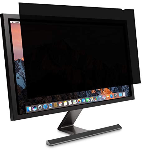 Kensington 19 – Screen filter for Monitors (4: 3)