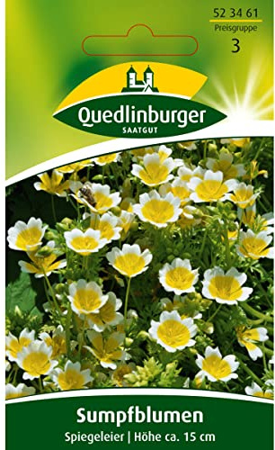 Sumpfblume, Spiegeleier