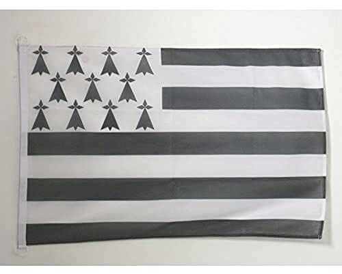 AZ FLAG - Drapeau Bretagne Spécial Extérieur - 90x60 cm - Pavillon Nautique Breton - France En Maille Bloquée Avec Anneaux Plastiques Intégrés - 80g
