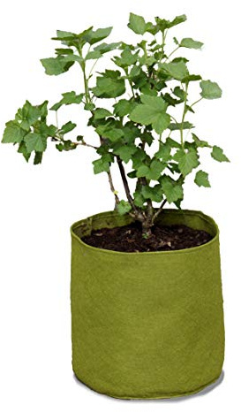 Pflanzbeutel Haxnicks VIG080101 Vigo Pots, Grün, 18 x 18 x 20 cm