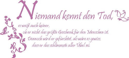 INDIGOS 4051719350029 Wandtattoo, Vinyl, flieder, 60 x 10 x 10 cm