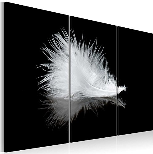 B&D XXL - Wandbilder XXL Abstrakt 120x80 cm Vlies Leinwandbild 3 Teilig Kunstdruck modern Wandbilder XXL Wanddekoration Design Wand Bild - Feder schwarz weiss minimalistisch 030203-4