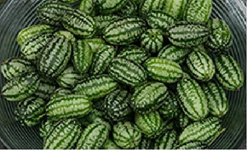 Just Seed - Vegetable - Cucamelon - 10 Seeds - Economy Pack
