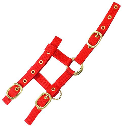 Verstellbares „Mini Halfter rot