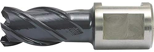 Alfra 0007613260311 - Broca sacanúcleos