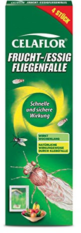 Substral Celaflor Frucht-/Essigfliegenfalle, transparente Klebefalle gegen Fliegen, Frucht-/Obstfliegen, etc, 4 St, durchsichtig