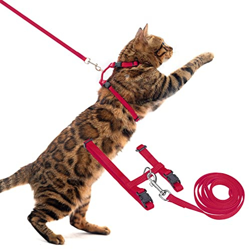 PUPTECK Verstellbares Katzengeschirr mit Leine Set Fluchtfestes Kätzchenhalsband für Spaziergänge, Rot