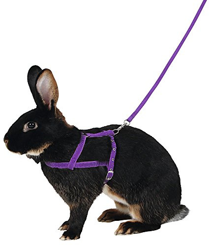 Kerbl Shoulder Harness Agility with Leash, Large, 2 m