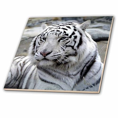 3dRose Weiße Tiger-Glasfliese, 15,2 cm (ct_345_6)