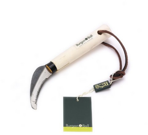 Burgon & Ball Rasen-Unkrautmesser, 20 cm Länge