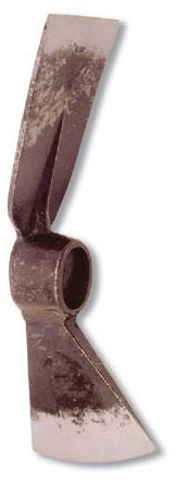 Flores cortés – Ascia Zappa 1200 Grs.